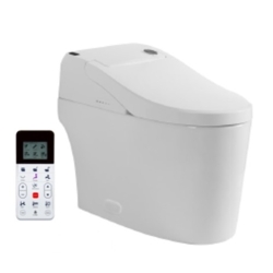 Specialty Products - Bidet Combos